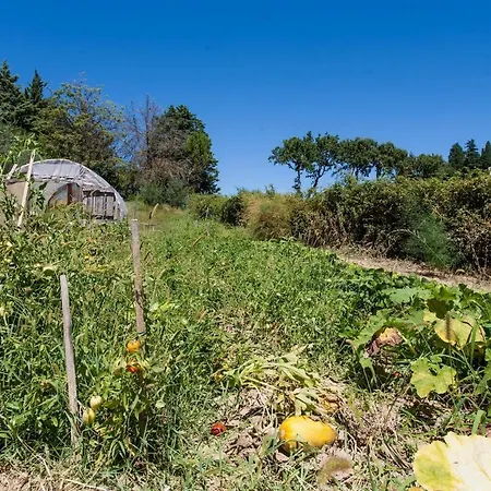 Podere Caldaruccio La Pineta - Umbertide Ramazzano - Le Pulci