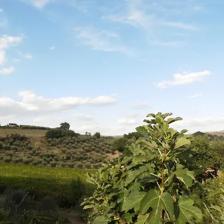 Podere Caldaruccio La Pineta - Umbertide * Ramazzano - Le Pulci