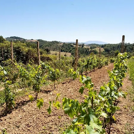 Podere Caldaruccio La Pineta - Umbertide Villa *