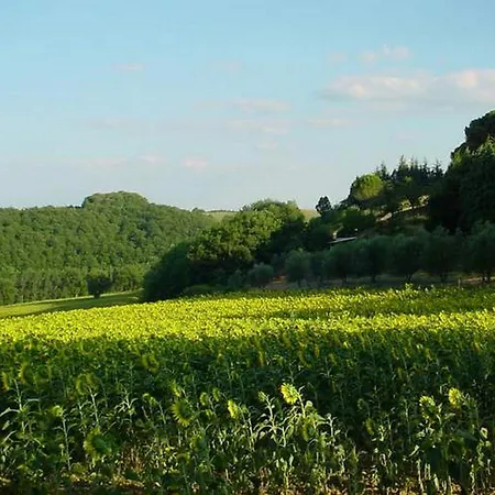 Podere Caldaruccio La Pineta - Umbertide