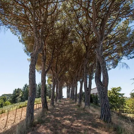 Podere Caldaruccio La Pineta - Umbertide Ramazzano - Le Pulci