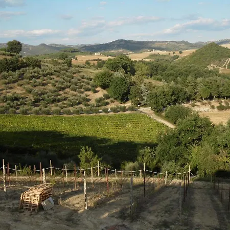 Podere Caldaruccio La Pineta - Umbertide Villa