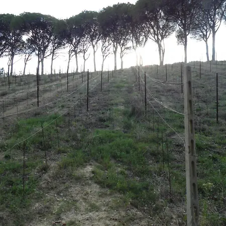 Podere Caldaruccio La Pineta - Umbertide Villa *